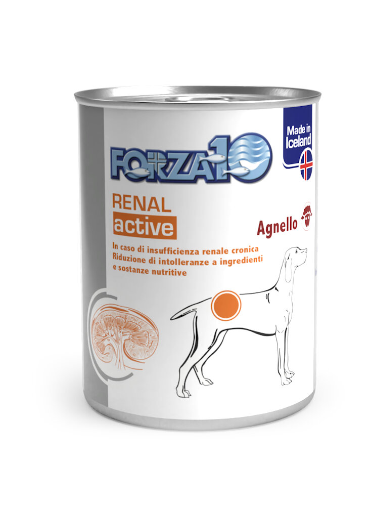 FORZA 10 Active Renal 390g patè di agnello - cane