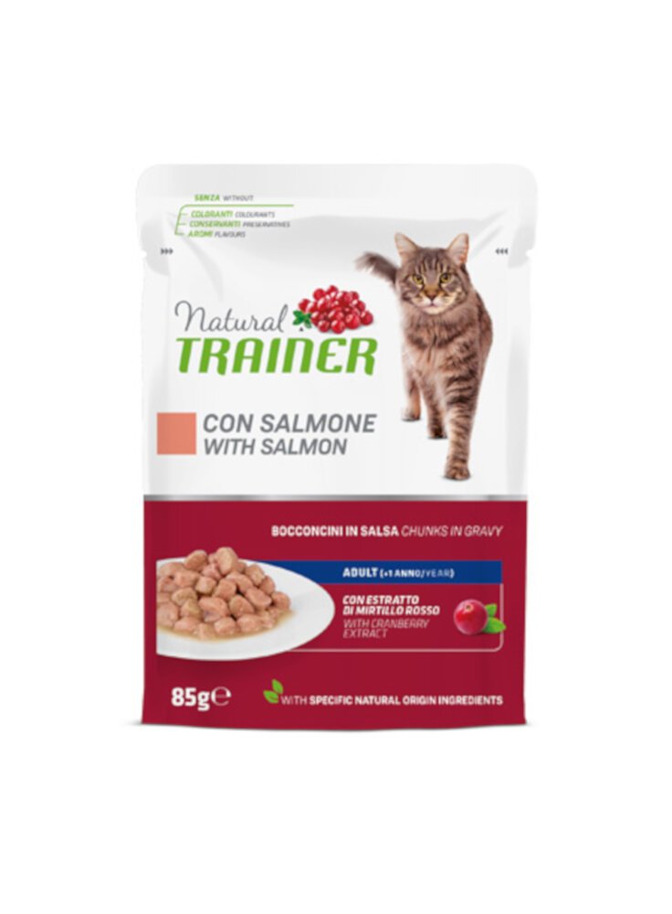 TRAINER Natural CAT Salmone busta 85g