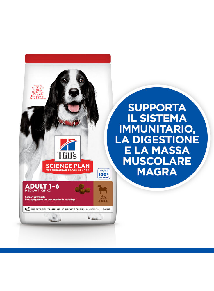 SP Canine Adult Medium Lamb & Rice 2,5kg cs (604276)