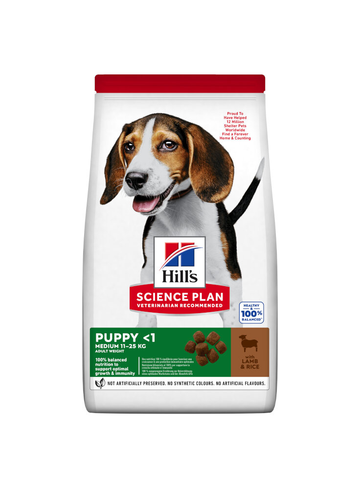 SP Canine PUPPY HEALTY DEVELOPMENT Lamb & rice 12kg (9264N - 604271)