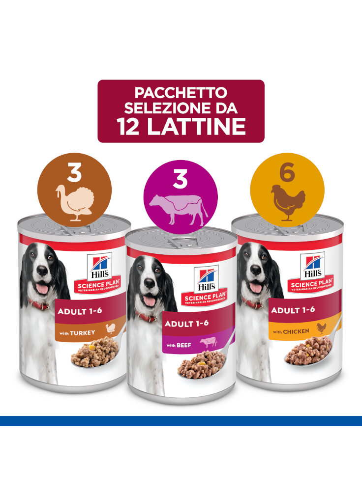 SP Canine Adult Beef 370g lattina cs (607096)