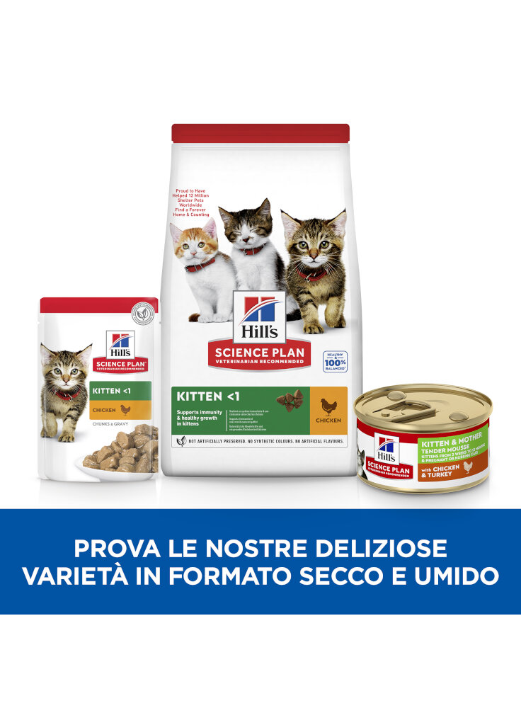 SP Feline Kitten & Mother chicken & turkey mousse 85g (608058)