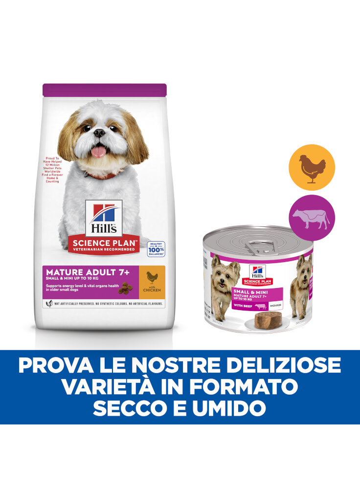 SP Canine Mature Mousse Small & Mini 200g (608332)