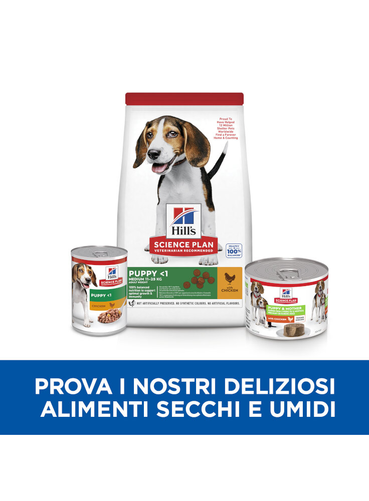 SP Canine Puppy & Mother mousse 200g (608333)