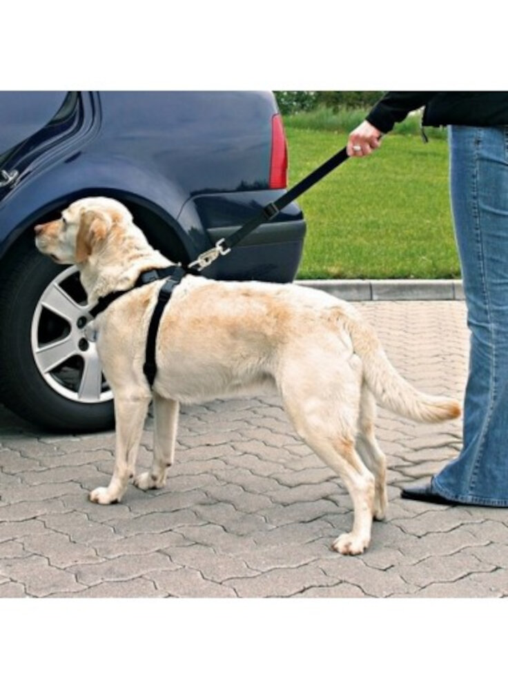 PETTORINA per AUTOMOBILE PER CANE TG.XL