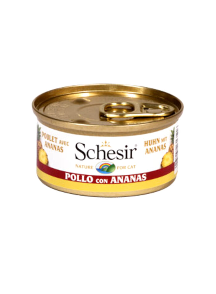 COD.1074351 SCHESIR CAT FRUIT POLLO ANANAS 75g