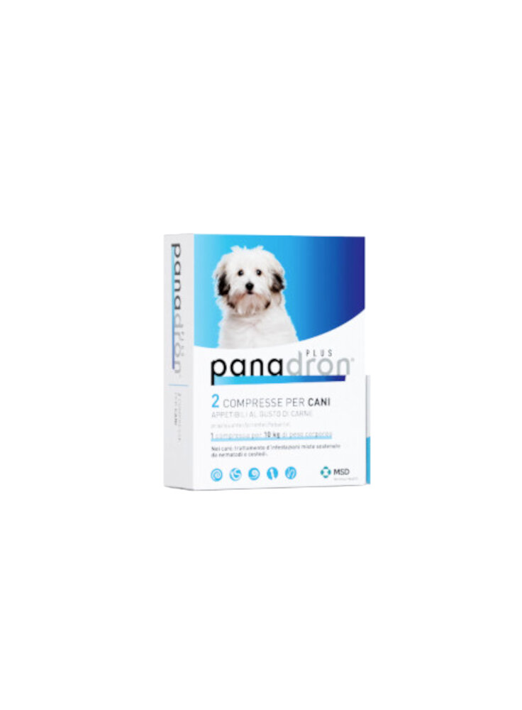 PANADRON Plus compresse 2 tab 360 - cane