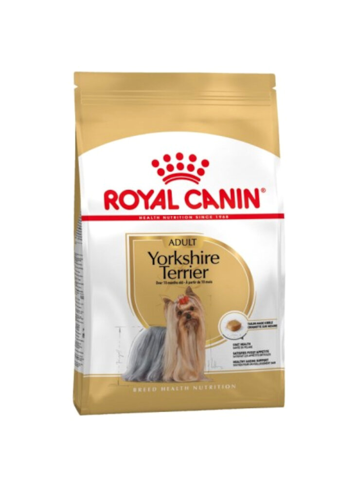 cane-bhn-yorkshire-terrier-ad-1-5kg