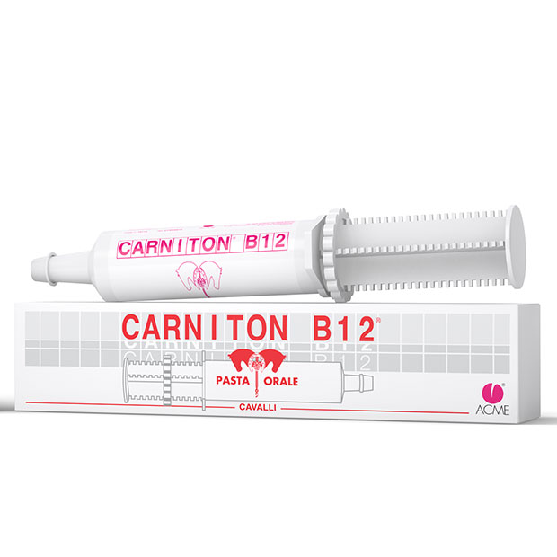 Carniton B 12 Pasta 1 siringa da 100 g