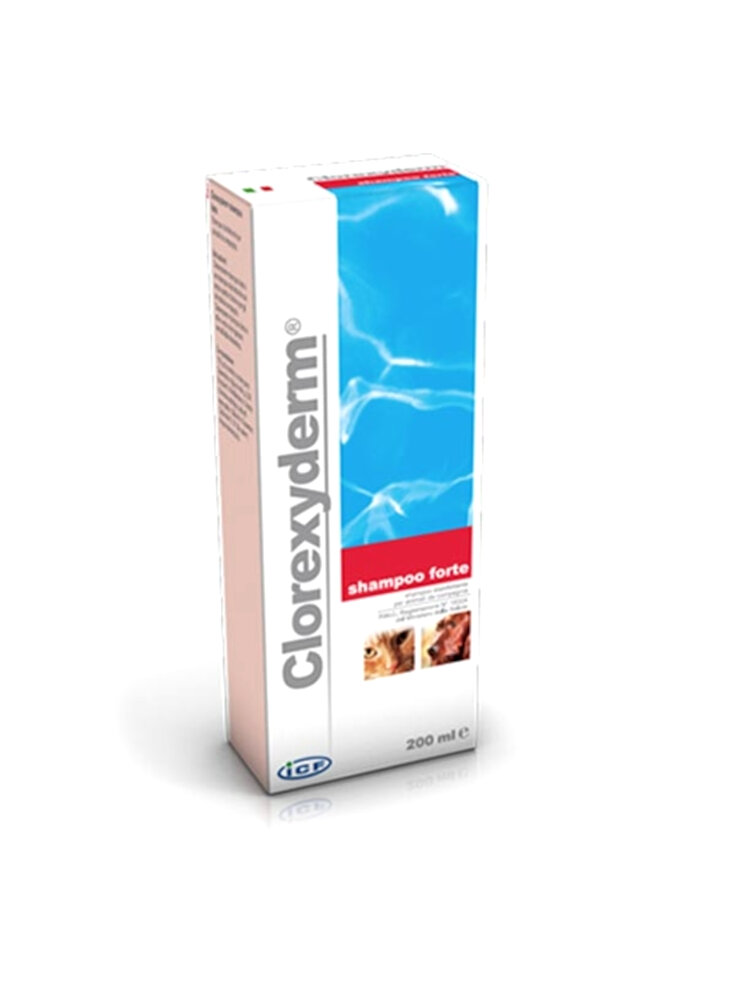 CLOREXYDERM SHAMPOO FORTE 5LT