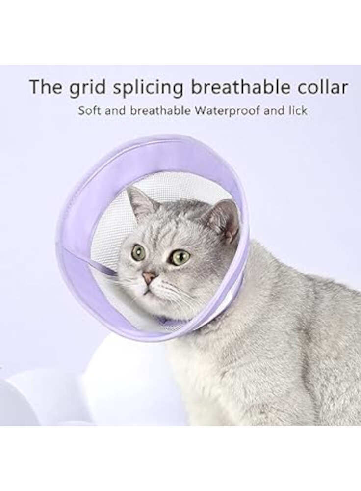 COLLARE SMART COLLAR MISURA S GATTO