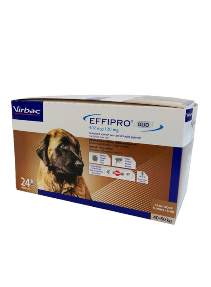 EFFIPRO CANE Tg.XL 4,02ml 24pip