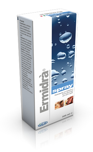 ERMIDRÀ SPRAY 300ML