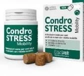 CONDROSTRESS MOBILITY 60 Chews