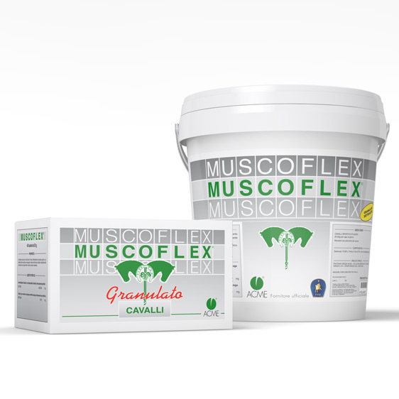 Muscoflex granulato 40 buste da 25 g