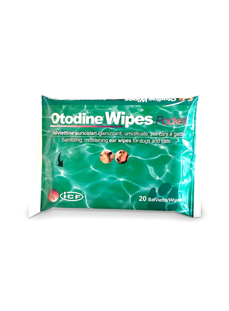 OTODINE WIPES POCKET 20 salviette