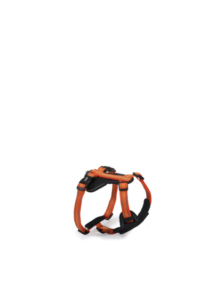 Pettorina Neoprene 5 regolazioni reflex - arancione - XS (DC171/08)