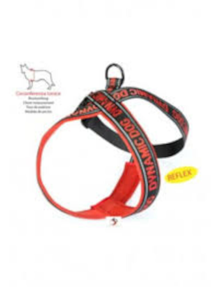 PETTORINA PRATIKO ARANCIO NEOPRENE TG.2+CLIP