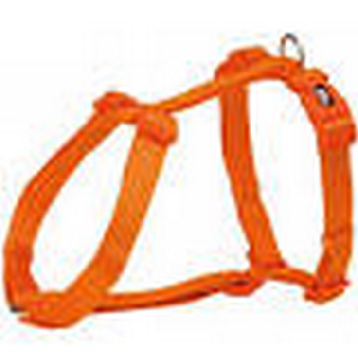 PREMIUM PETTORINA ad H Tg.XXS-XS 20-32cm/10mm ARANCIO