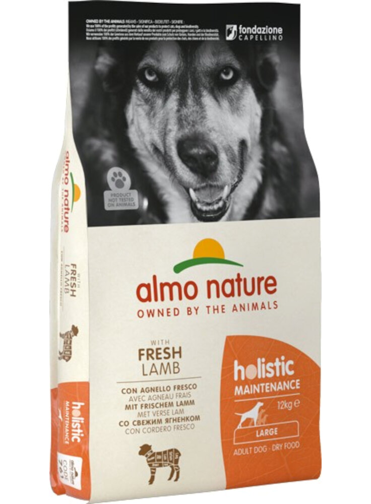 PFC DOG HOLISTIC M-L Agnello e Riso 2 Kg (731)