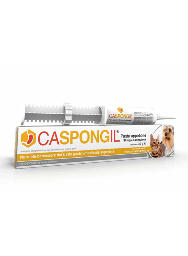 CASPONGIL PASTA 30g