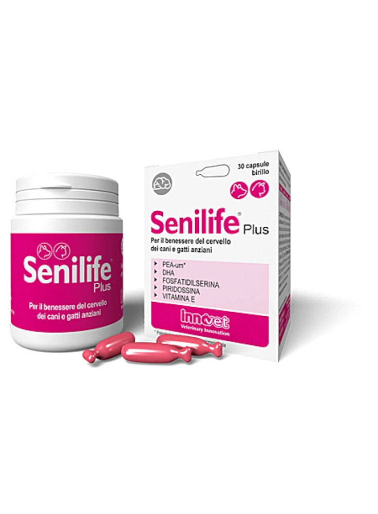 SENILIFE PLUS 60cps