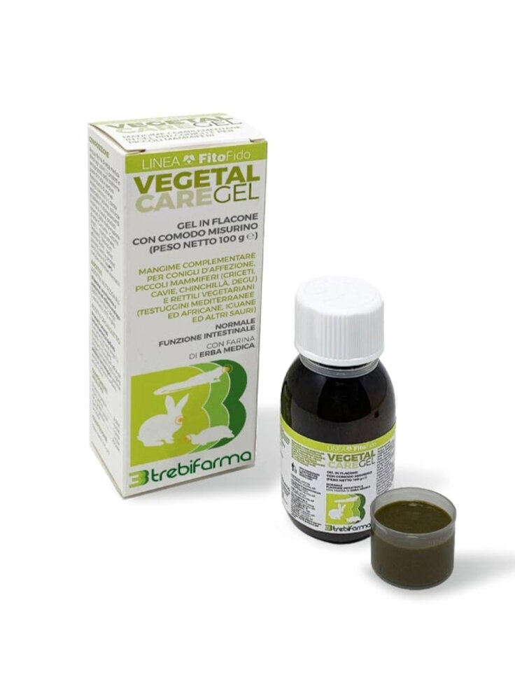 VEGETAL CARE GEL 100g