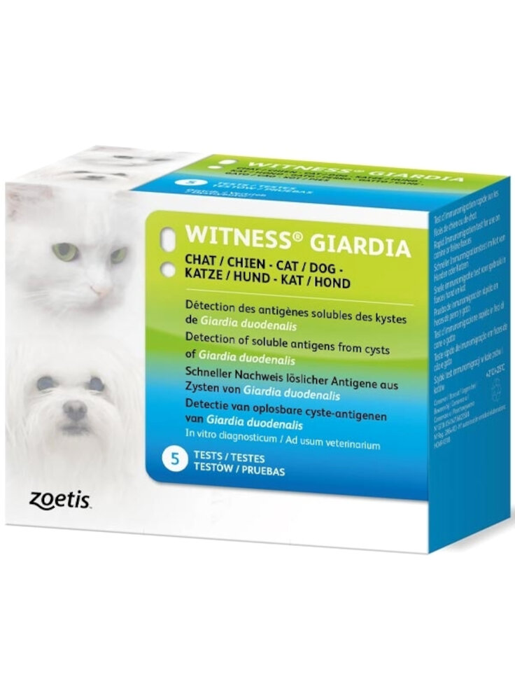 WITNESS GIARDIA TEST KIT MEDEV 5