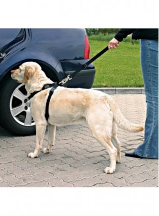 PETTORINA per AUTOMOBILE PER CANE TG.XL