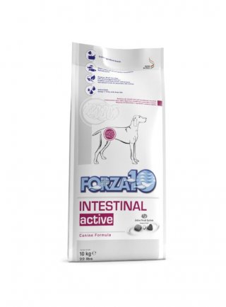 Forza 10 Intestinal Active 10kg - cane