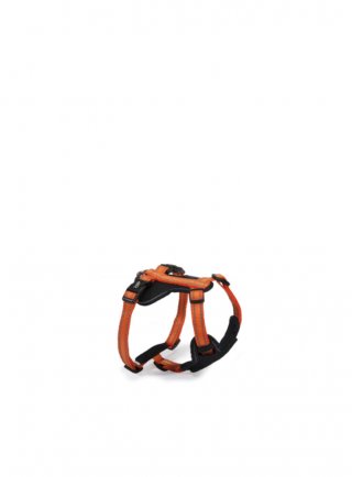 Pettorina Neoprene 5 regolazioni reflex - arancione - XS (DC171/08)